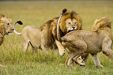 损毁系爽快卡牌战斗RPG《天穹卡牌录》公布